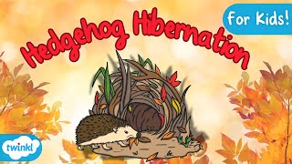 Hedgehog Hibernation Explained  Hibernation for Kids [upl. by Eyllek18]