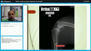 Grabación de webinar — Artritis en caninos y diagnóstico de artropatía — Mascolab amp Orthovet [upl. by Kielty]