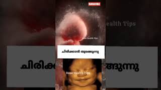 അമ്മയുടെ വയറ്റിൽ വച്ച് കുഞ്ഞ് മനസിലാക്കുന്ന ചില കാര്യങ്ങൾ pregnancy education [upl. by Lowenstein]