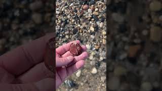 Double Finds  Single clip ❤️ Jasper amp Variolite 🤩 [upl. by Eoz]