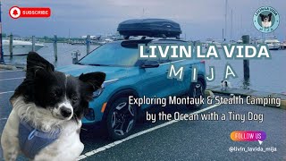 Explore Montauk amp Stealth Camping by the Ocean wTiny Dog 🌊🚙  Livin La Vida Mija Ep 5 dogtravel [upl. by Netnilc363]