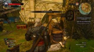 Witcher 3 Bood amp Wine Scavenger hunt grandmaster feline gear  Explore the ruins of Arthach Palace [upl. by Anev]