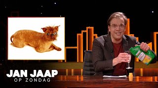 Spuit alle honden vol met glyfosaat en voorkom vlooien  Jan Jaap op Zondag [upl. by Toddy424]