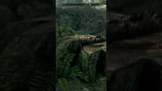 Unique Detail You Might Have Missed In Skyrim [upl. by Weaver910]