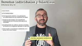 Derechos individualescolectivos y Carrera Profesional  Art 14 a 20 TREBEP  3a parte [upl. by Adnim]