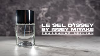 LE SEL DISSEY BY ISSEY MIYAKE  FRAGRANCE OPINION VIDEO [upl. by Doloritas]