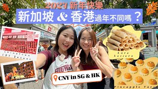 【新年快乐】新加坡和香港过年不一样 Singapore to Hong Kong any difference in celebrating New Year Ft kayusg600 [upl. by Iphigeniah835]