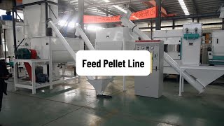 34 TH Cattle Aniaml Feed Making Plant Manufacturer from China feedmill feedpelletmills [upl. by Locklin]