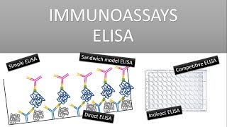 The Principle of Immunoassays ELISA Enzyme Linked Immunosorbent Assay [upl. by Noryt]