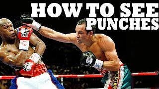 How to See a Punch Coming in Boxing MMA or Street Fight [upl. by Ayikaz]