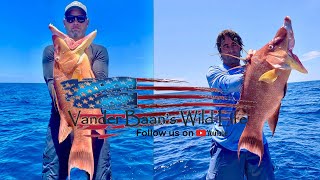 HUGE HOGFISH Catch Clean and Cook  in Lemon Butter A Team Effort [upl. by Jecoa47]