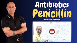 Penicillin  Antibiotics  Mechanism of Action  Pharmacology💊 [upl. by Embry]