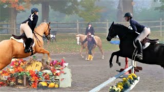 Theres Going To Be A Galloping Scene Today Horse Show Day 267 092620 [upl. by Atsillac]