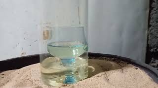 Выпариваю самодельную азотную кислоту Warning Dont Make Nitric Acid Without Watching This First [upl. by Helena]