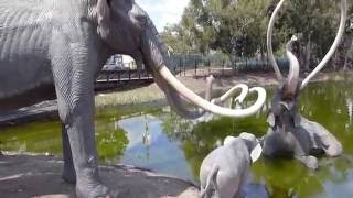 Los Angeles California  La Brea Tar Pits HD 2016 [upl. by Ithnan]