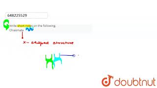 Write short notes on the followingChiasmata  CLASS 10  CELL DIVISION AND CELL CYCLE  BIOLO [upl. by Mayes]