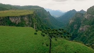 Caminhos da Natureza [upl. by Euqinemod177]