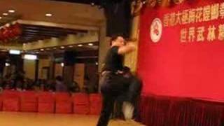 Qixing Tanglang Quan Yi Lu zhai Yao Quan 一路摘要拳 [upl. by Nobe]