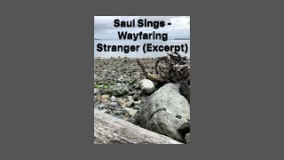 Saul Sings  “Wayfaring Stranger” Excerpt [upl. by Toor759]