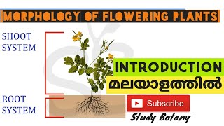 MORPHOLOGY OF FLOWERING PLANTS INTRODUCTION PART1 PLUS ONE BIOLOGY CHAPTER5 MALAYALATHIL NCERT [upl. by Hendrix]