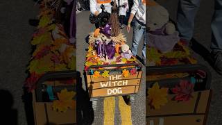 Tompkins Square park Halloween Dog Parade 2024 [upl. by Fidelis]