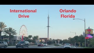 Orlando Food 10 Best Restaurants You Cant Miss  Best Restaurants in Orlando Florida 2024 [upl. by Flan]