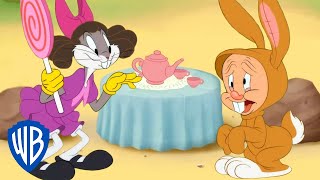 Looney Tunes  Its a Tea Party 🫖  wbkids​ [upl. by Nirac]