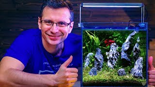 BETTA FISH TANK SETUP  NONCO2 AQUASCAPE WITH BUILTIN FILTER [upl. by Floss630]