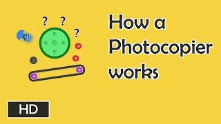 How photocopiers work [upl. by Herc804]