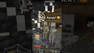 lichte PANIEK minecraft wouterswereld [upl. by Colburn]