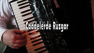 Caddelerde RÃ¼zgar NilÃ¼fer Cover  Murathan Akordeon [upl. by Thurnau91]