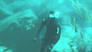 USFA Spearfishing Safely  Correct Breathing [upl. by Ahders92]