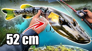 MONSTER vs Tiny Lures for PIKE FISHING 🔥 1000 g Swimbait [upl. by Nerraf]