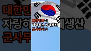 대한민국이 자랑하는 최첨단 국산 군사무기 TOP 5 [upl. by Eiaj]