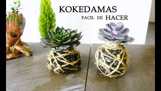 KOKEDAMAS Tutorial FACIL de hacer en casa [upl. by Galloway]