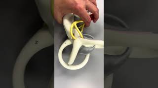 Semicircular canals 30 second anatomy science anatomy anatomymadeeasy bodyanatomy [upl. by Papagena508]