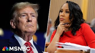 See It Full Trump hearing in Georgia RICO case I MSNBC [upl. by Herbst290]