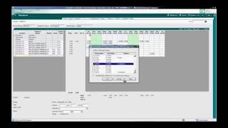 Deltek Vision  Timesheets  Doris Video [upl. by Anibur]