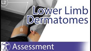 Dermatomes Lower Limb  Peripheral Neurological Examination [upl. by Frederiksen]