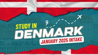 STUDY IN DENMARK  JANUARY 2025 INTAKE [upl. by Norby]