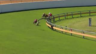 Bundaberg13052024Race4 [upl. by Madaras]