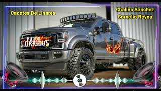 Los Cadetes De Linares Cornelio Reyna Chalino Sanchez Mix Epicenter Bass Boosted Corridos Mix 2024 [upl. by Willyt203]