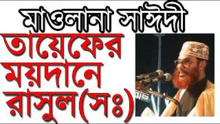 তায়েফের ময়দানে রাসুল সঃ। Maulana Saidi Waz [upl. by Anwahsat]