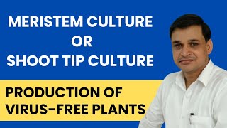 Meristem or shoot tip culture  Production of virusfree plants  Plant biotechnology [upl. by Aniratak307]