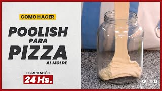 POOLISH para PIZZA  Qué es y cómo hacer PIZZA con POOLISH [upl. by Refinneg]