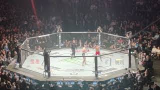 Damn hooker vs Claudio Puelles KO with crowd reaction ufc281 [upl. by Eidurt]