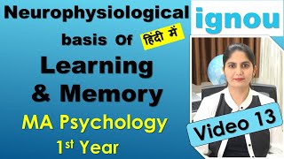 Neuro Psychological Basis of Learning amp Memory loss amnesia Cognitive Psychology IGNOU MA Hindi [upl. by Corrina779]