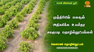 முந்திரியில் மகசூல் அதிகரிக்க உயர்தர சாகுபடி தொழில்நுட்பங்கள்  Agricultural Technology [upl. by Aifoz]