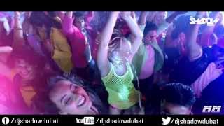 PARTY ALL NIGHT DJ SHADOW DUBAI REMIX [upl. by Eibur326]