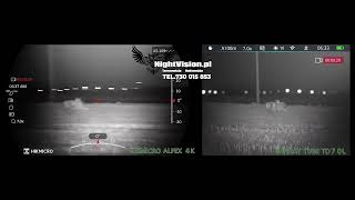 Jelenie do 270 metrów  Porównanie Hikmicro Alpex 4K A50e VS Infiray TD70L v2 4k nightvision [upl. by Antonella]